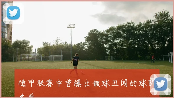 德甲联赛中曾爆出假球丑闻的球队名单