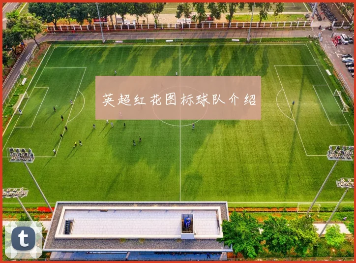 英超红花图标球队介绍