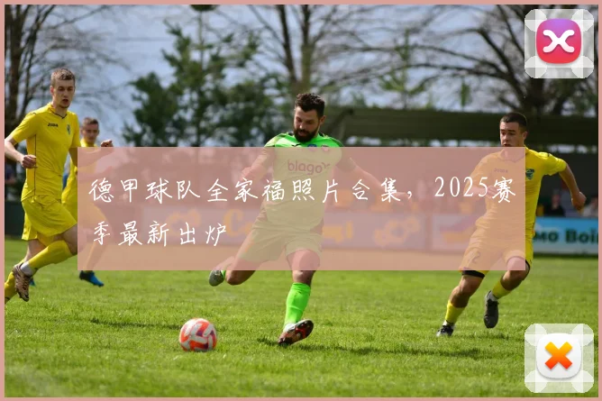 德甲球队全家福照片合集，2025赛季最新出炉